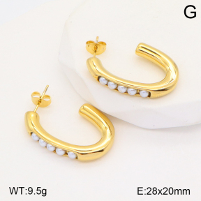 2E3002883bvpl-434  Stainless Steel Earrings