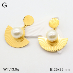 2E3002897aakl-618  Stainless Steel Earrings