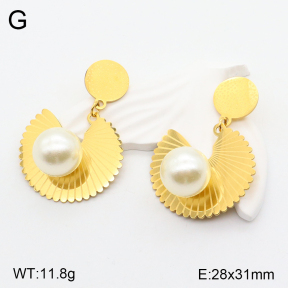 2E3002900aakl-618  Stainless Steel Earrings