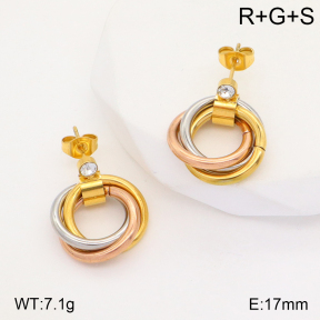 2E4003954vbnl-434  Stainless Steel Earrings