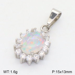 2P4000876ahpv-214  Stainless Steel Pendant