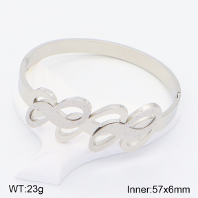 2BA201527bhia-617  Stainless Steel Bangle