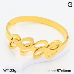 2BA201528ahjb-617  Stainless Steel Bangle