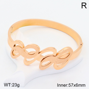 2BA201529ahjb-617  Stainless Steel Bangle