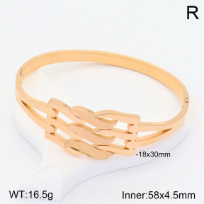 2BA201532ahjb-617  Stainless Steel Bangle