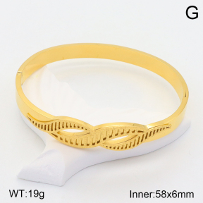 2BA201534ahjb-617  Stainless Steel Bangle