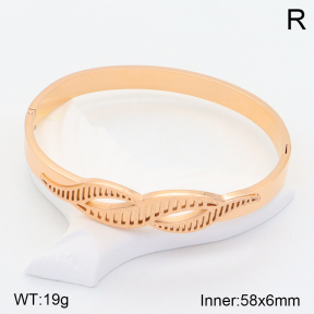 2BA201535ahjb-617  Stainless Steel Bangle