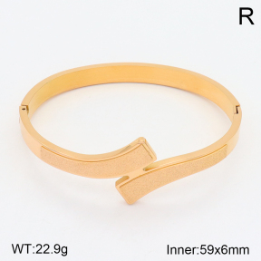 2BA201538ahjb-617  Stainless Steel Bangle