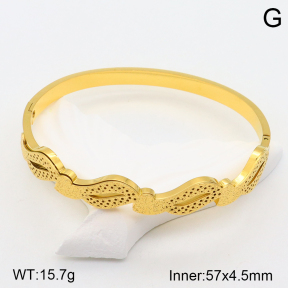 2BA201546ahjb-617  Stainless Steel Bangle