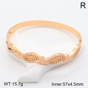 2BA201547ahjb-617  Stainless Steel Bangle