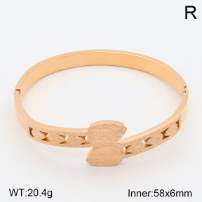 2BA201550ahjb-617  Stainless Steel Bangle