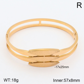 2BA201553ahjb-617  Stainless Steel Bangle