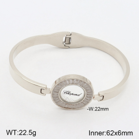 2BA401836vhmv-617  Stainless Steel Bangle