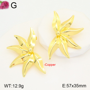F2E201672bblo-J165  Fashion Copper Earrings