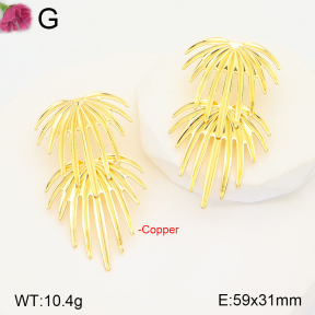 F2E201710vbll-J165  Fashion Copper Earrings