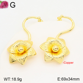 F2E201724vbmb-J165  Fashion Copper Earrings