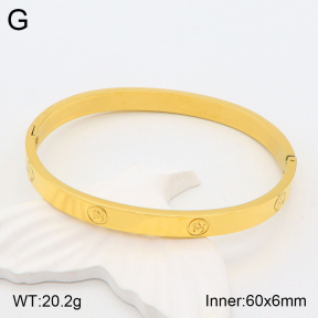 2BA201593bbov-306  Stainless Steel Bangle