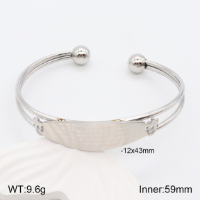 2BA201594vbnb-306  Stainless Steel Bangle