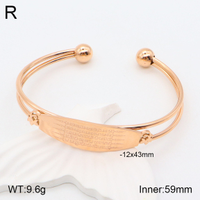 2BA201595abol-306  Stainless Steel Bangle