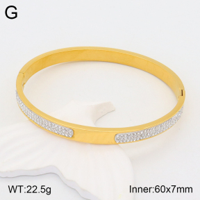 2BA401845vhhl-306  Stainless Steel Bangle