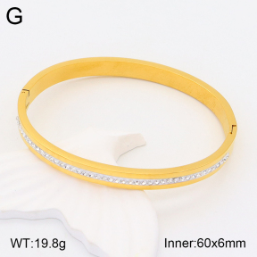 2BA401856vbnl-306  Stainless Steel Bangle