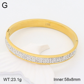 2BA401857bhia-306  Stainless Steel Bangle