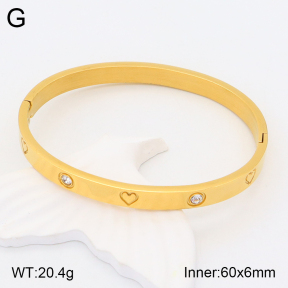 2BA401860bhva-306  Stainless Steel Bangle