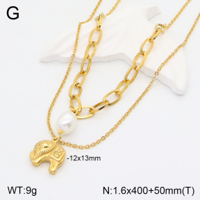 2N3002133bhva-377  Stainless Steel Necklace