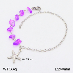 2A9001429vbll-610  Stainless Steel Anklets