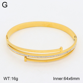 2BA401872bbov-354  Stainless Steel Bangle