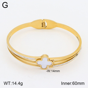 2BA401882bbov-354  Stainless Steel Bangle