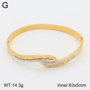 2BA401884bbov-354  Stainless Steel Bangle