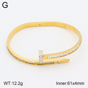 2BA401885bbov-354  Stainless Steel Bangle