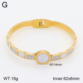 2BA401887bbov-354  Stainless Steel Bangle