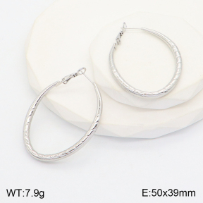 2E2005127vbpb-649  Stainless Steel Earrings