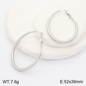 2E2005129vbpb-649  Stainless Steel Earrings