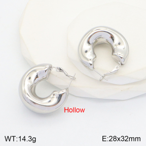 2E2005133bbov-649  Stainless Steel Earrings