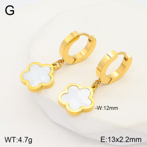 2E3002906abol-743  Stainless Steel Earrings