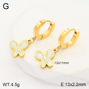 2E3002907abol-743  Stainless Steel Earrings