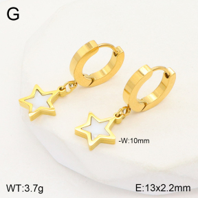 2E3002908bbov-743  Stainless Steel Earrings