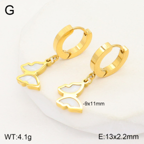 2E3002909abol-743  Stainless Steel Earrings