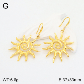 2E4003980abol-649  Stainless Steel Earrings