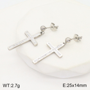 2E4003982vbnl-743  Stainless Steel Earrings