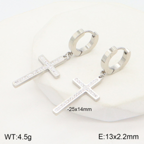 2E4003983vbnl-743  Stainless Steel Earrings