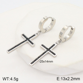 2E4003984vbnl-743  Stainless Steel Earrings