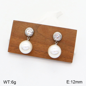 2E3002913baka-436  Stainless Steel Earrings