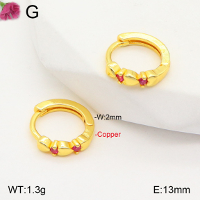 F2E401725vbpb-J147  Fashion Copper Earrings