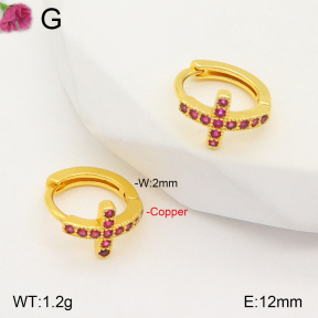 F2E401730vbpb-J147  Fashion Copper Earrings