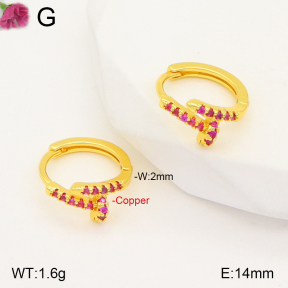 F2E401769vbpb-J147  Fashion Copper Earrings