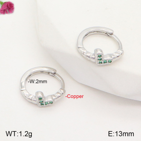 F2E401779vbpb-J147  Fashion Copper Earrings